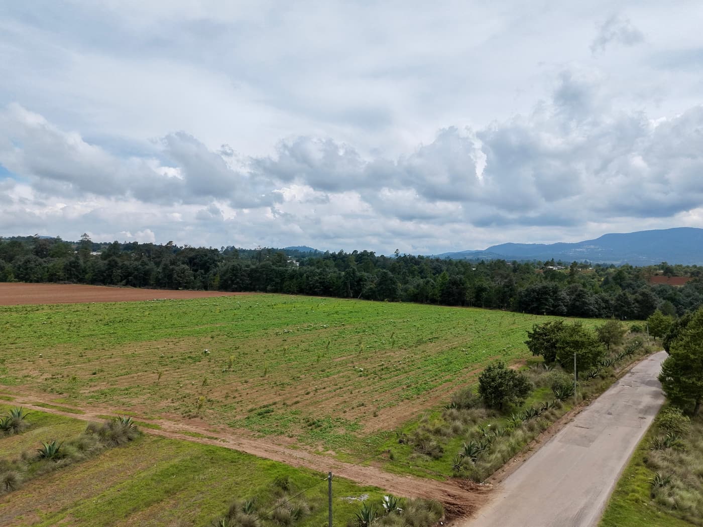Vista aérea de un lote con camino de acceso, ideal para tu cabaña
